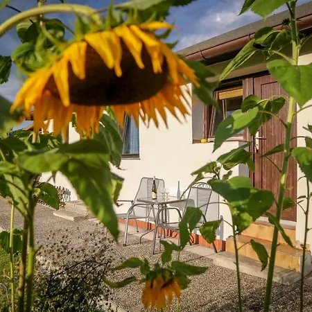 Rauschberghof